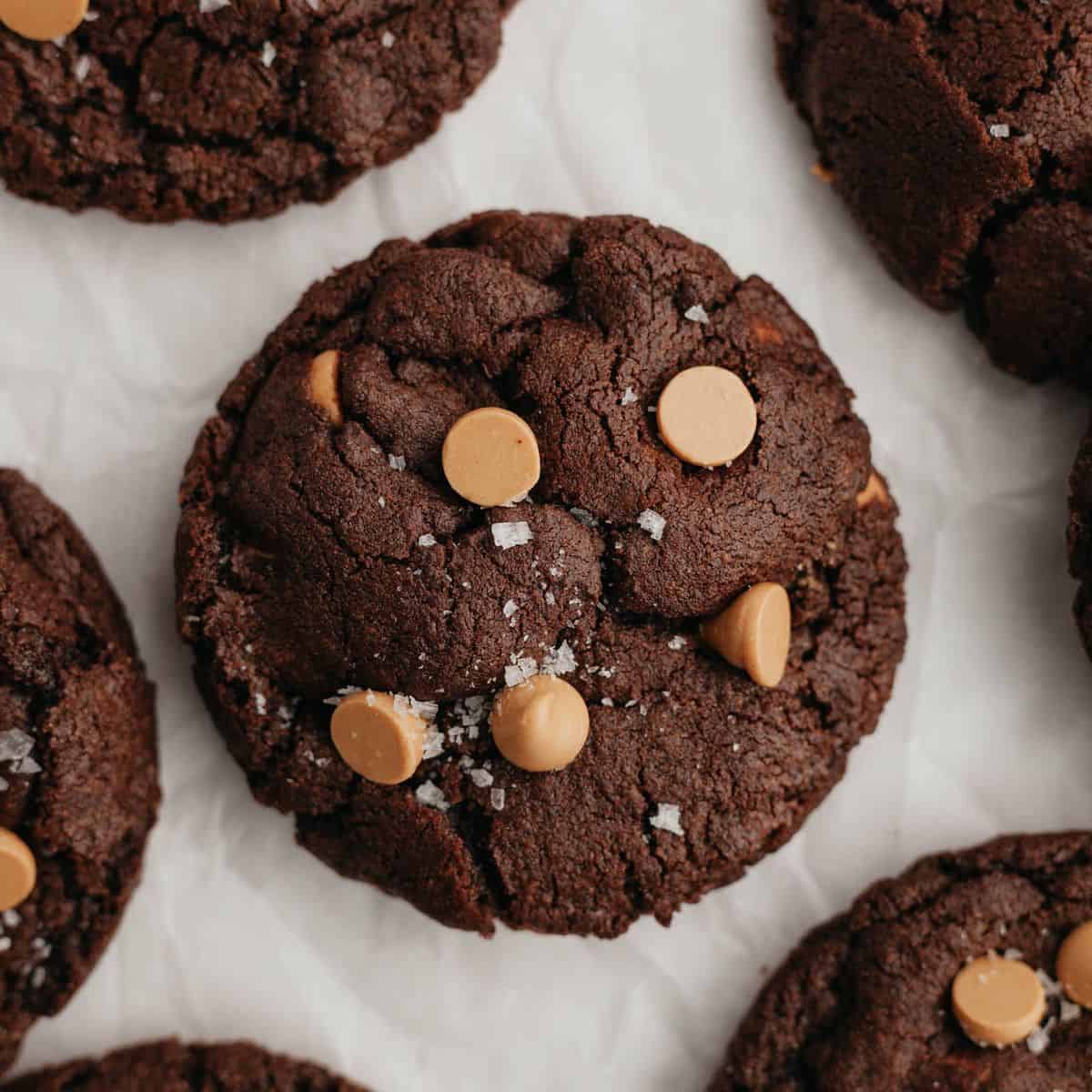 Turtle Cookies